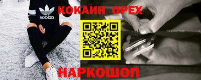 крисы Абакан