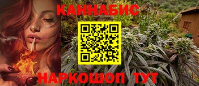 крисы Абакан