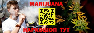крисы Абакан