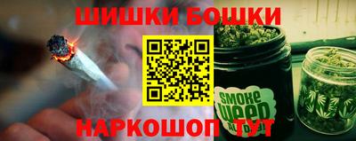 крисы Абакан