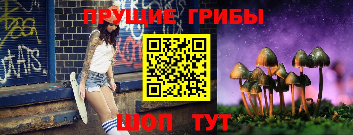 Псилоцибиновые грибы мицелий  Вход с VPN  Ангарск  Галлюциногенные грибы Psilocybine cubensis 